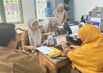DPMPTSP MELAKSANKAN KOORDINASI MENGENAI REVIU PEMERINTAH DIGITAL