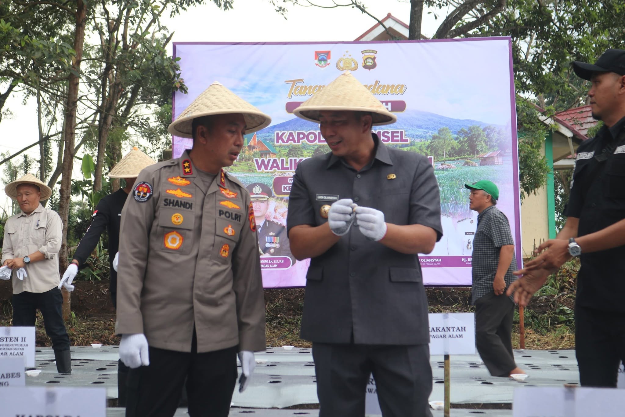 Wali Kota Pagar Alam Bersama Kapolda Sumatera Selatan Tanam Perdana Bawang Putih Di Lahan Milik Pemkot Pagar Alam