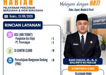 Laporan Harian DPMPTSP Kota Pagar Alam